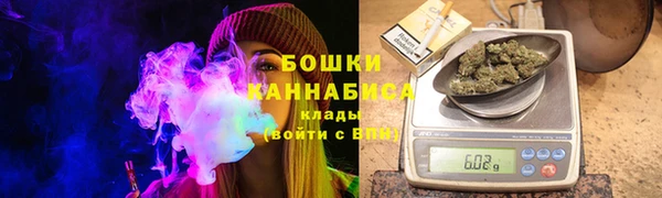 PSILOCYBIN Богданович